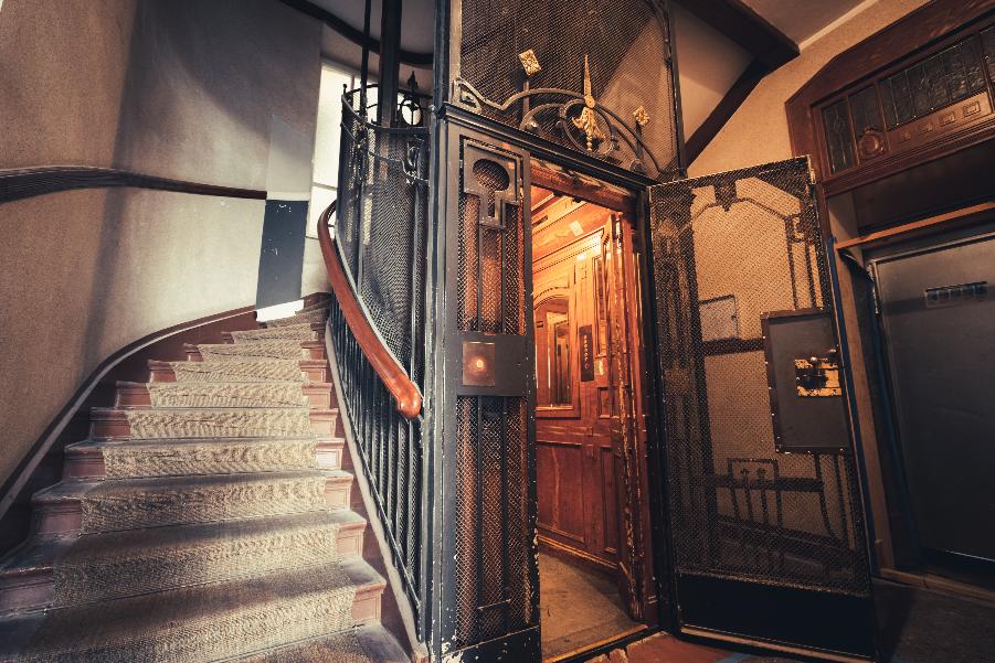Петербуржцы заручились поддержкой Бастрыкина | ФОТО Leon Seibert on Unsplash