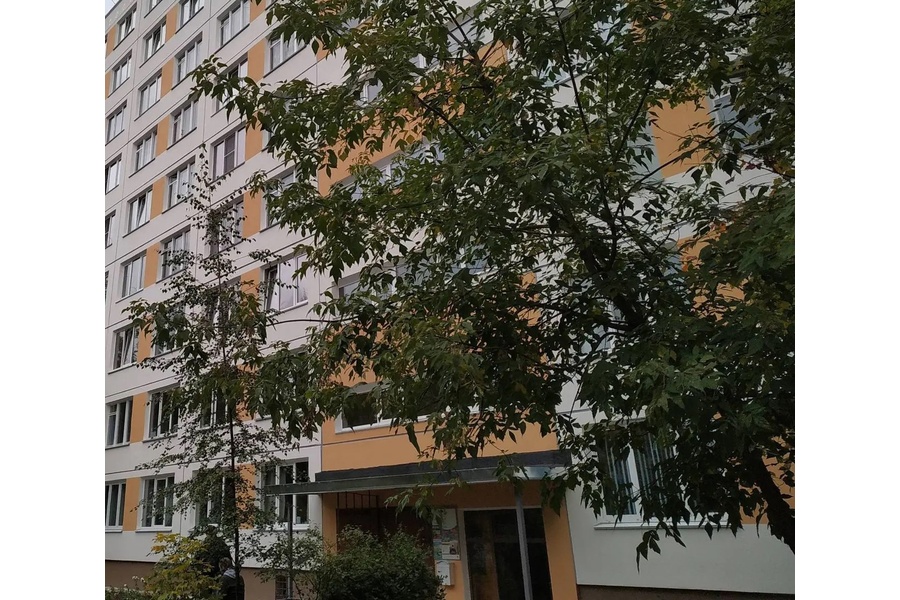 Капремонт панельных фасадов: Петербург наращивает темпы работ | 