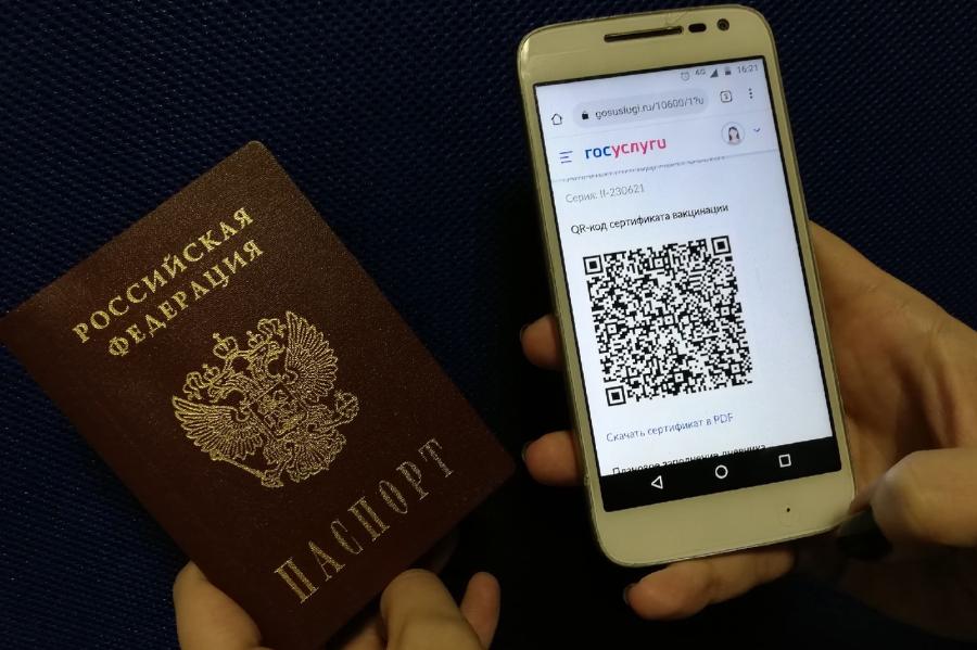 Петербургская полиция возбудила 29 дел из-за подделки ковид-документов | ФОТО Pixabay