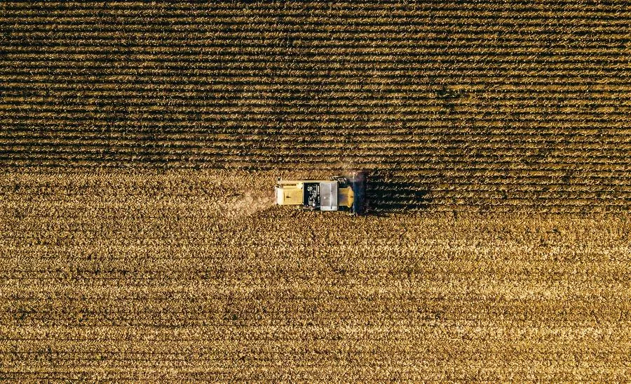 В России активно идет уборка овощей и снижение цен | ФОТО Bence Balla-Schottner on Unsplash