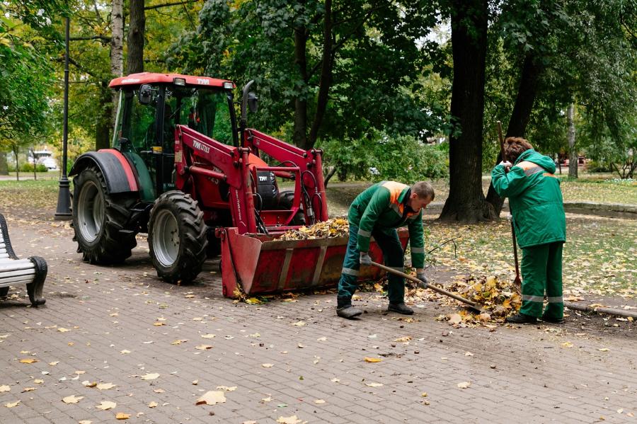 Более 90 деревьев упало из-за ветра за минувшую неделю в Петербурге | ФОТО Unsplash