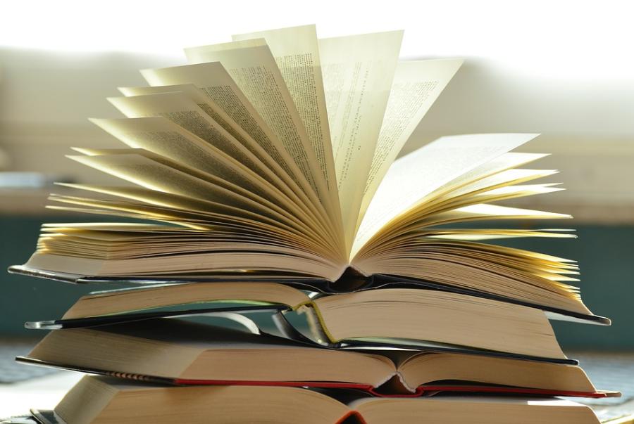 В Петербурге издателям разрешили бесплатно участвовать в Книжном салоне | ФОТО Pixabay