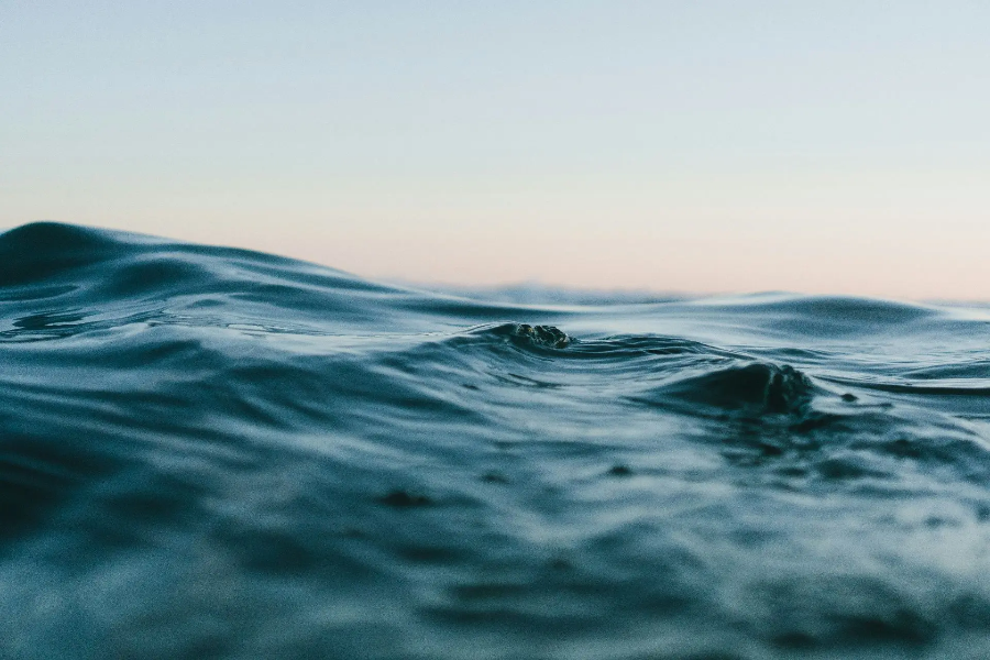 В Онежском озере обнаружили шесть затонувших судов | ФОТО Matt Hardy on Unsplash