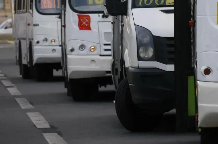 Петербург и Ленобласть скорректируют границы, чтобы запустить автобусы в Дудергоф | ФОТО Сергея ГРИЦКОВА
