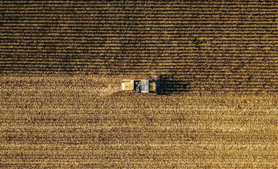 Россия собрала третий по объемам урожай зерна в истории | ФОТО Bence Balla-Schottner on Unsplash