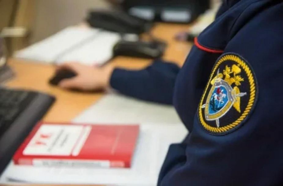 На свалке в Красном селе нашли архив полиции с персональными данными петербуржцев  | Фото: Следственный комитет России
