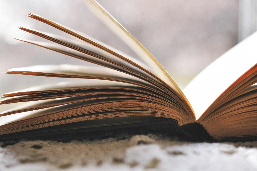 Масштабный литературный проект «Книжный поезд» начинает третий сезон | Photo by Haley Parson on Unsplash