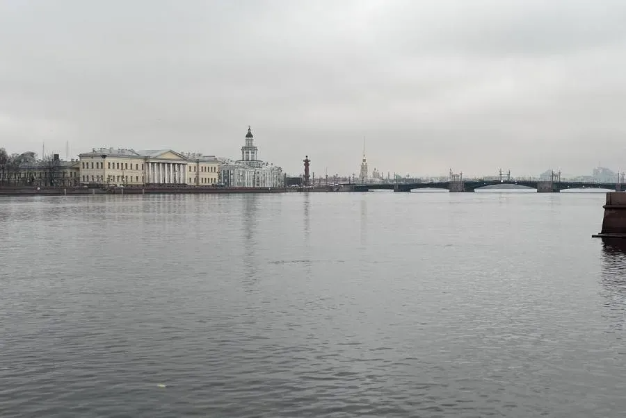 Сады в центре Петербурга закрыли из-за непогоды | ФОТО Дарьи КЛИМЕНКО 
