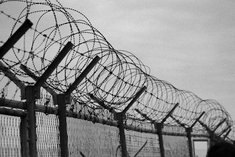 Суд в Петербурге отправил в колонию мошенника, похитившего у знакомых 25 млн рублей | ФОТО Daniel Bernard on Unsplash