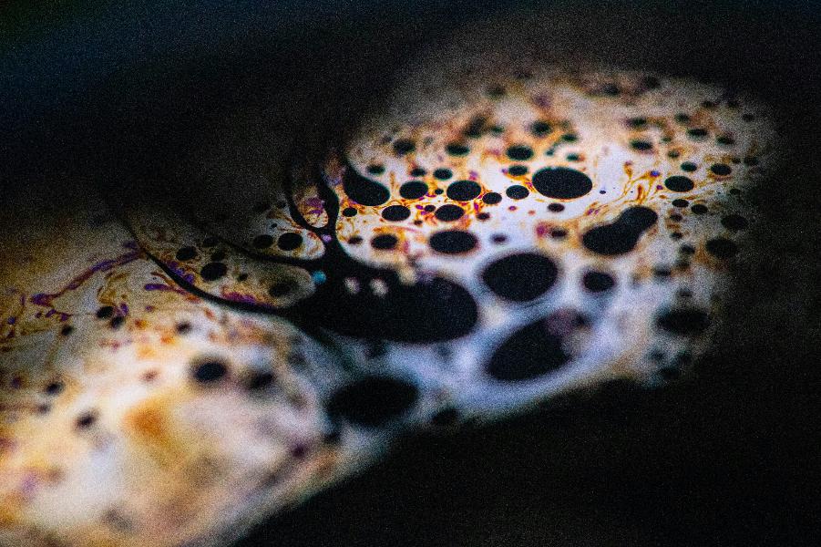 В ХМАО ученые обнаружили месторождение уникальной лечебной нефти | ФОТО Forest S on Unsplash