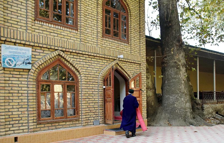 Дерево-школа и священный родник: тайны древнего сада Чор-Чинор в Самаркандской области | ФОТО АВТОРА