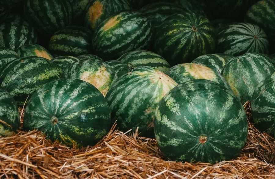 Сезонные точки по продаже арбузов и дынь откроются в Петербурге | ФОТО Unsplash
