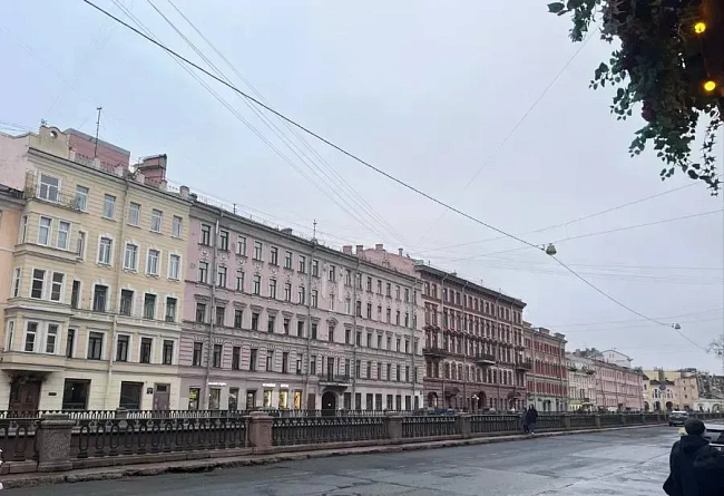 Экологические службы Петербурга отчитались о работе за неделю