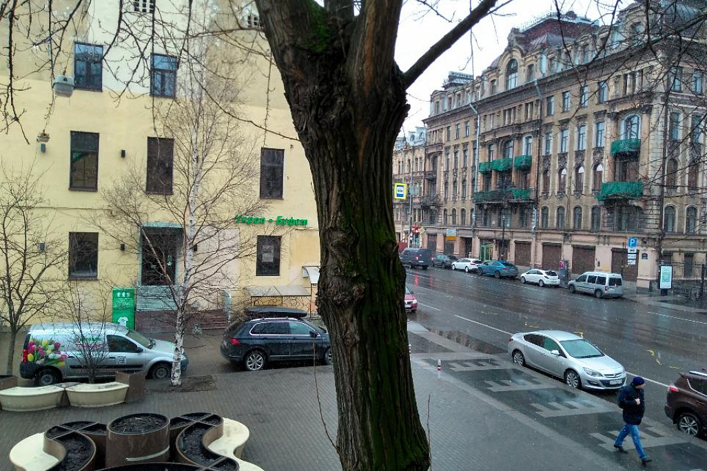 Во вторник в Петербурге возможен дождь и мокрый снег | Фото: Ксении Якубовской