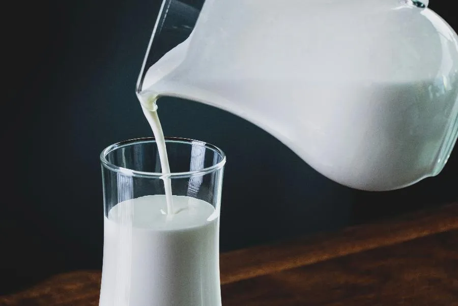 Объёмы поставок молочной продукции через морской порт Петербурга увеличились более чем на треть | ФОТО Eiliv Aceron on Unsplash