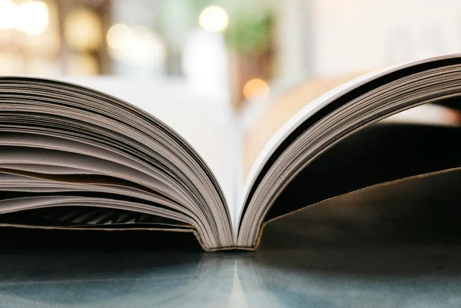 Научно-популярную книгу «Петербург за гранью серого» представили в КГА | ФОТО Jonas Jacobsson on Unsplash