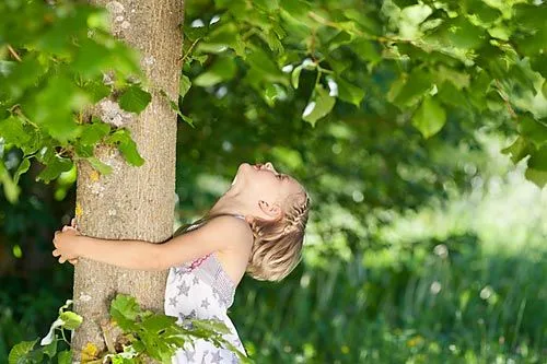 Найти дорогу в экопарк | Иллюстрация racom/shutterstock.com