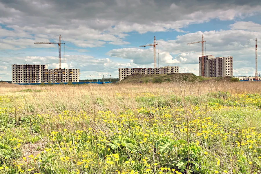 Застройщики и капуста. Когда в Петербурге начнут появляться микрорайоны с нормальной инфраструктурой? | ФОТО Александра ДРОЗДОВА