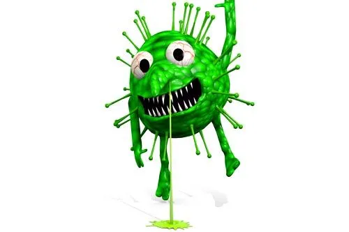 Экзотика в&nbsp;коробке | Иллюстрация AuntSpray/shutterstock.com 