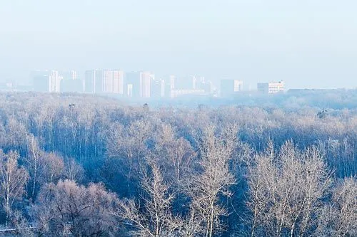 Славка в Лахту не летит | ФОТО vvoe/shutterstock.com
