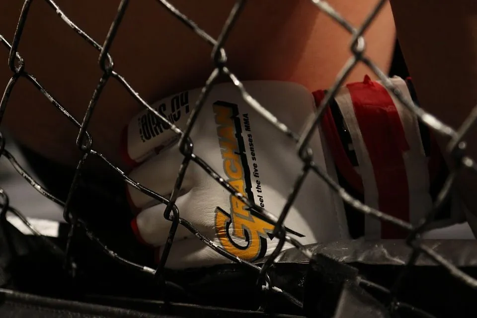 Петербург может стать местом проведения соревнований по MMA | Фото: pxhere.com