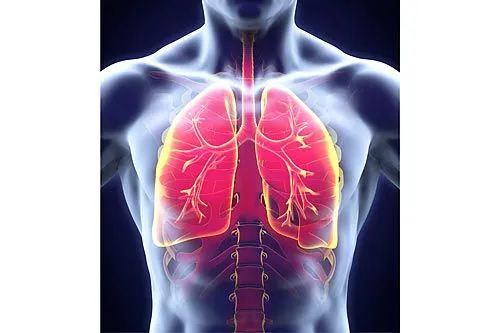 Второе дыхание | ФОТО Nerthuz/shutterstock.com