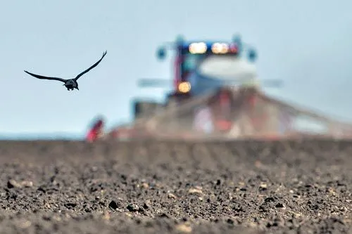  «Белые пятна» российской пашни | В перспективе Россия может стать одним из основных поставщиков продовольствия и сельскохозяйственного сырья на мировой рынок. ФОТО Егора АЛЕЕВА/ТАСС