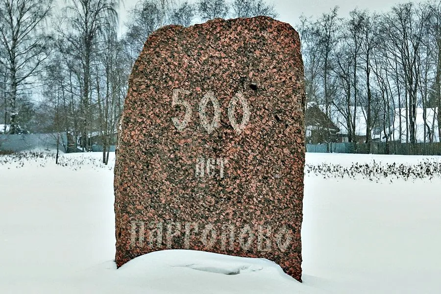 Близкие дали. Продолжается застройка Парголово | ФОТО Дмитрия СОКОЛОВА