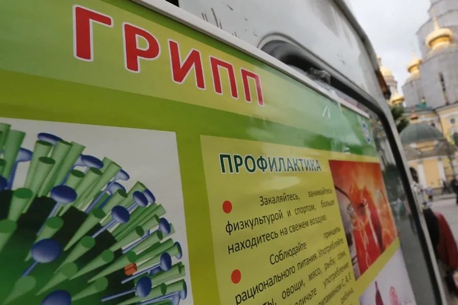 Жителей России предупредили об атаке новых штаммов гриппа | ФОТО Дмитрия СОКОЛОВА