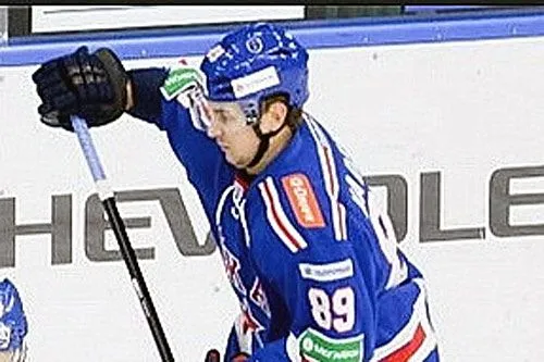 Встретили без приколов |    www.ska.ru
