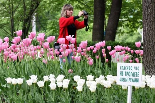  Сердце весны зовет на остров | ФОТО Дмитрия СОКОЛОВА