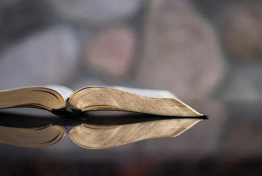 В Доме книги была представлена книга «Маутхаузен: восстание в блоке смерти» | ФОТО Aaron Burden on Unsplash