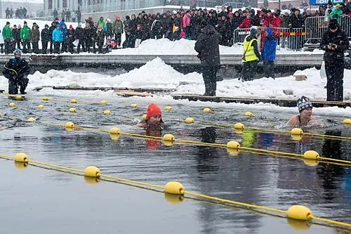 Моржи поплыли на скорость | ФОТО www.darkandcold.com
