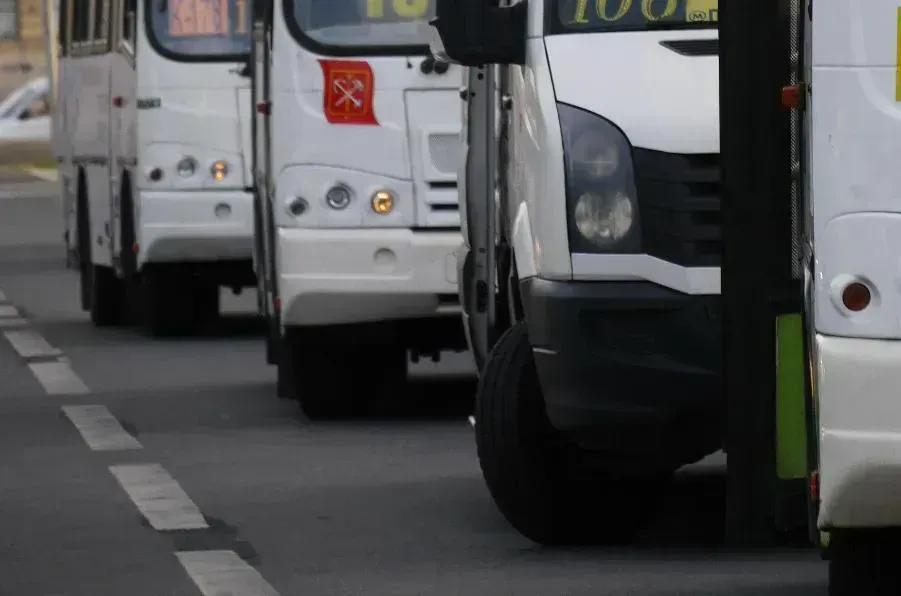 Петербург и Ленобласть скорректируют границы, чтобы запустить автобусы в Дудергоф | ФОТО Сергея ГРИЦКОВА