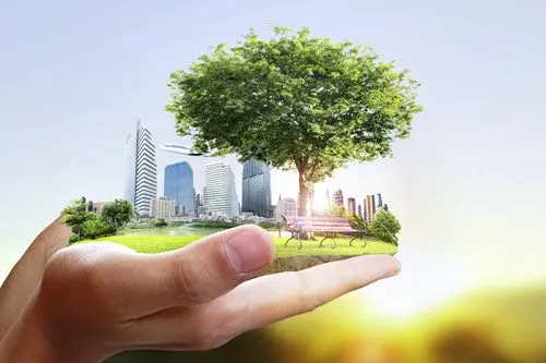 Эконеделя 16&nbsp;января | ФОТО  Violetkaipa /shutterstock.com