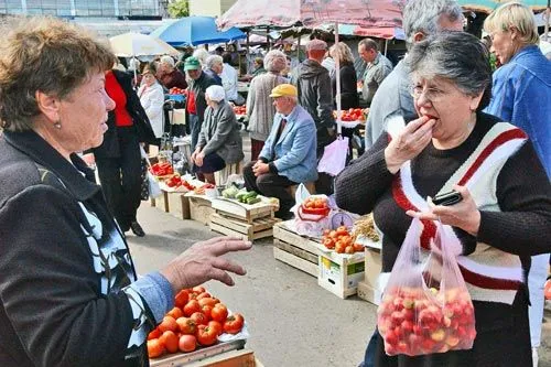 Горожанин на земле | Без должного контроля поди догадайся — что вырастили сами, а что перекупили. <br>ФОТО Владимира ЗИНИНА/ТАСС