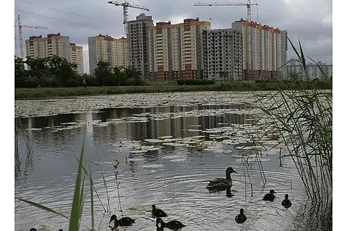 Деревня уперлась в потолок | ФОТО Дмитрия СОКОЛОВА