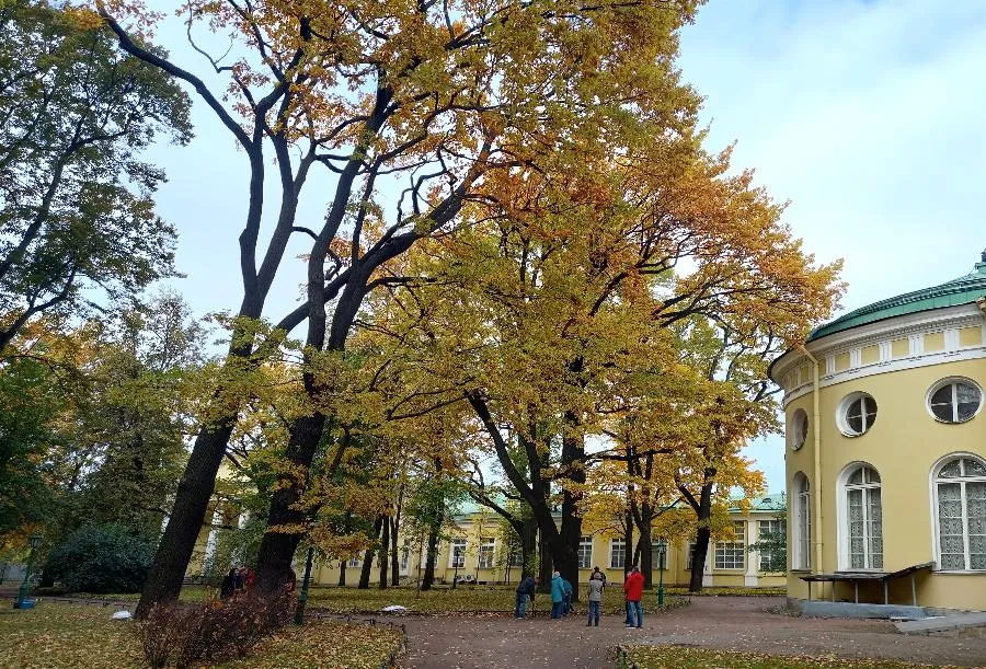 Долгожители «царского садика». В Петербурге проходит акция, посвящённая 235‑летию Таврического дворца | ФОТО АВТОРА