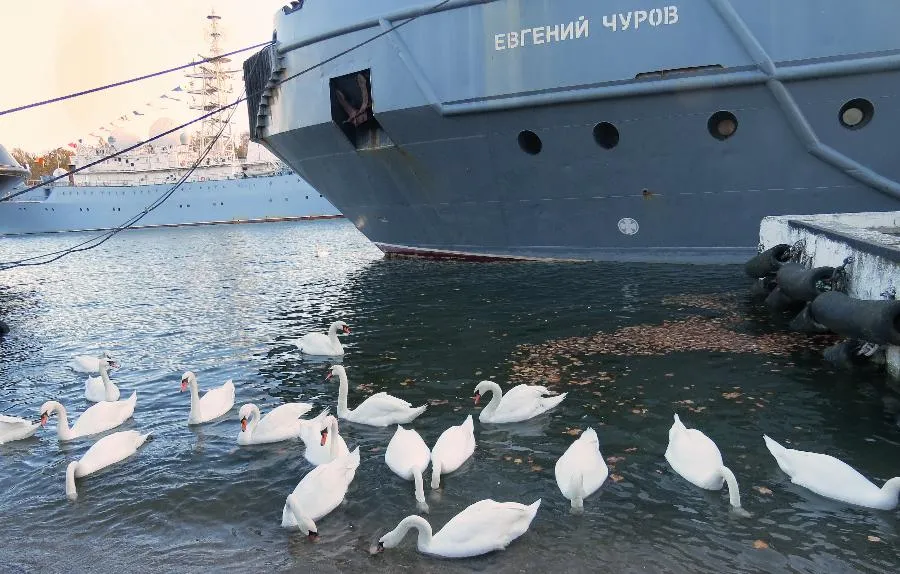 Прогулка по Балтийску: крепость, флот, маяк и памятник императрице на берегу Балтики | ФОТО АВТОРА