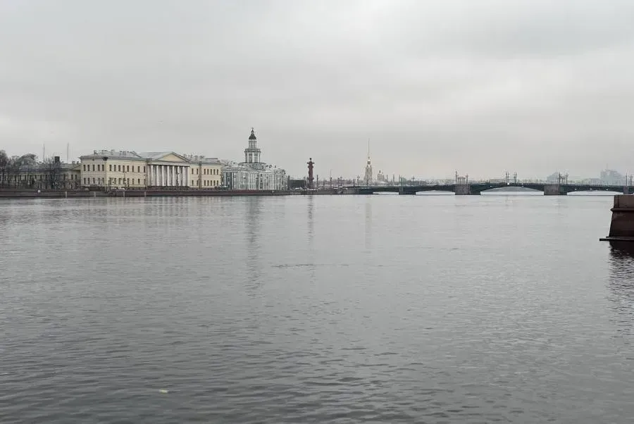 В Петербурге прекратятся дожди и потеплеет до +27 градусов | ФОТО Дарьи КЛИМЕНКО 