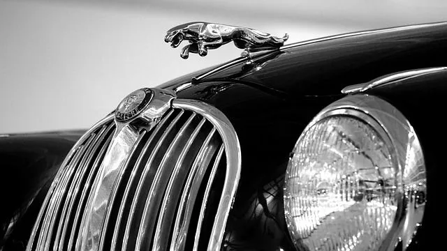 Jaguar экс-хоккеиста СКА Гимбатова сожгли из-за дорожного конфликта | Фото: Pixabay / MikesPhotos